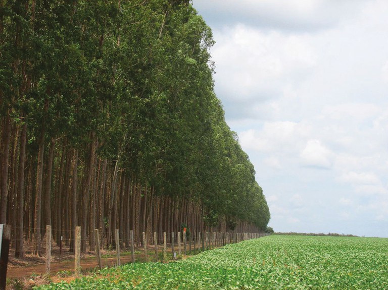 Diversidade do campo