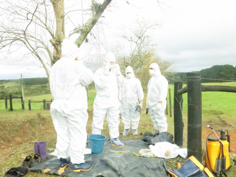 Treinamento internacional de combate à febre aftosa