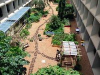 Uma horta-jardim no Ministério da Agricultura