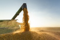 Valor Bruto da Produção Agropecuária de 2022 é estimado em R$ 1,2 trilhão