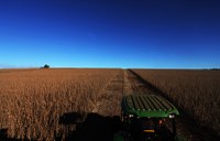 Valor bruto da produção agropecuária para 2016 soma R$ 516,4 bilhões