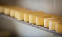 Valorização de produtos a partir da região de origem é tema de evento internacional em BH