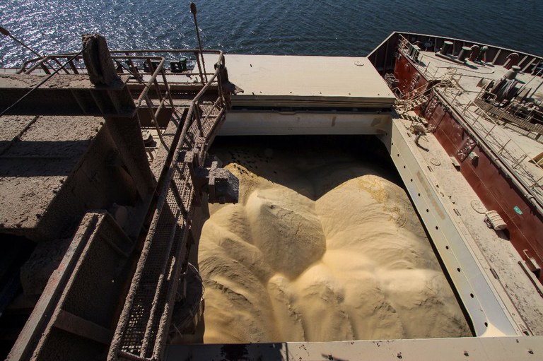 exportações appa.jpg