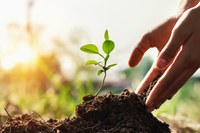 Mapa promove videoconferência para avaliar seguro agrícola de soja e milho no Centro-Oeste, Norte e Nordeste