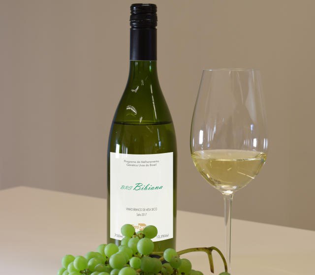 Patrícia Ritschel/Embrapa