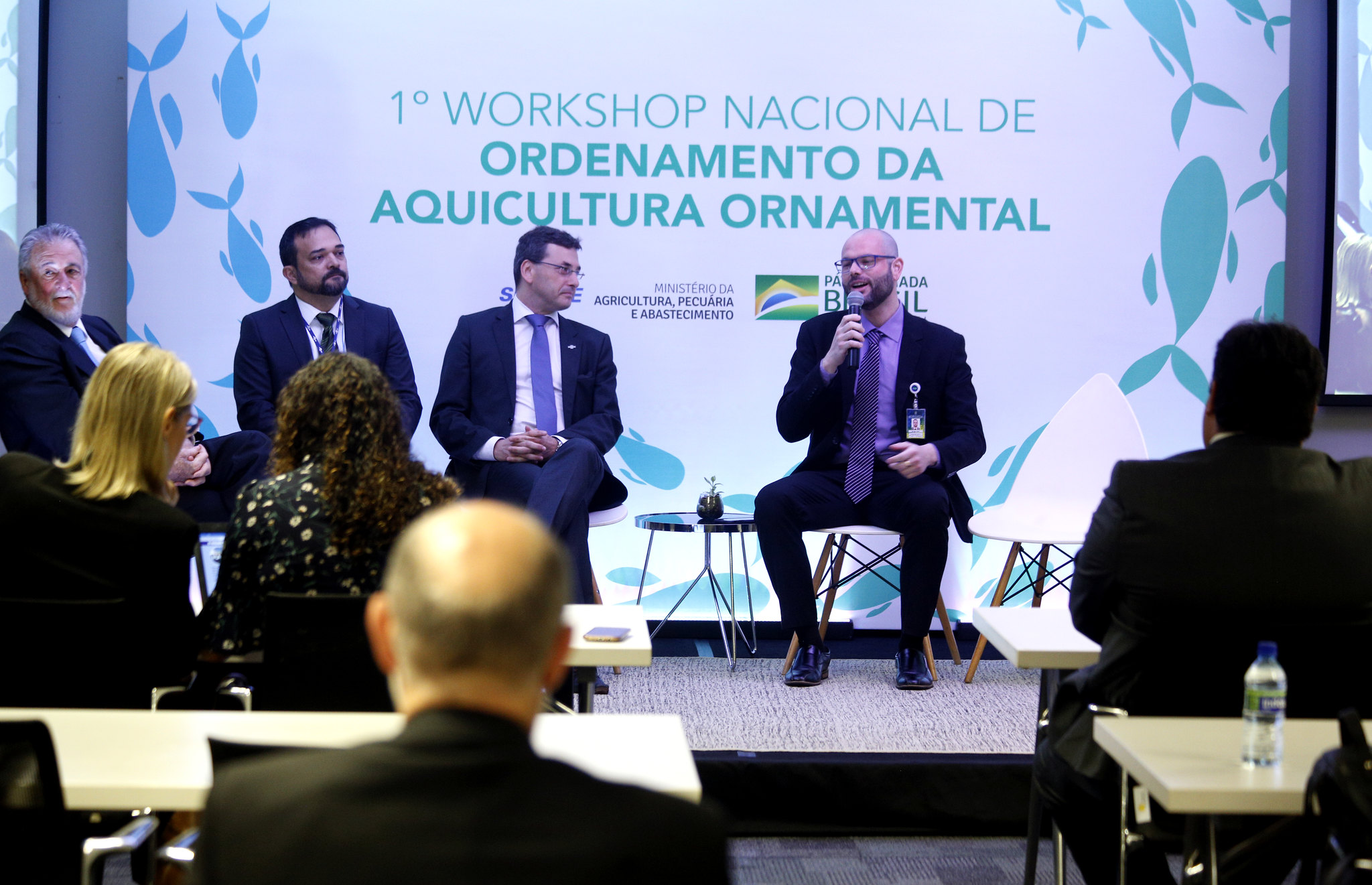 aquicultura ornamental1.jpg