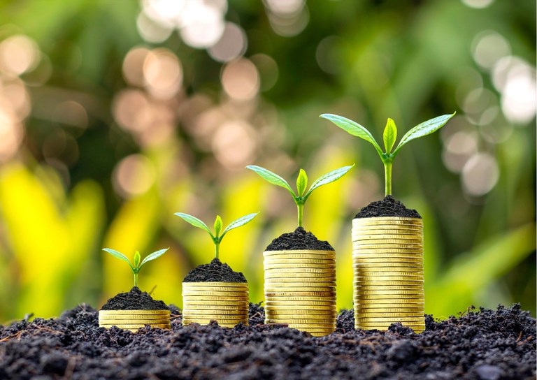 Design sem nome (8).jpg