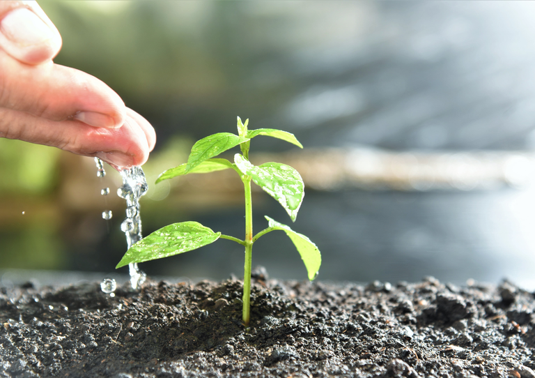 Design sem nome (16).png