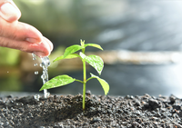 Brasil moderniza procedimentos para registro de produtos biológicos