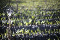 Complementação para o atual Plano Safra vai permitir equalização de mais de R$ 8 bilhões