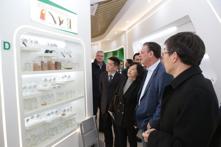 WhatsApp Image 2023-03-27 at 23.44.58.jpeg