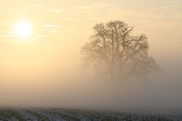 Frio atinge grande parte do Brasil nesta semana