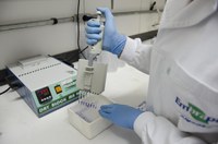 Grupo de trabalho vai aprimorar sistema de pesquisa agropecuária da Embrapa