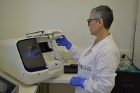 Laboratório do Mapa é aprovado em análise internacional sobre detecção da influenza aviária