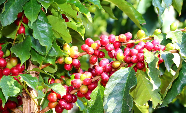 Design sem nome (6).png