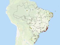 Mapa disponibiliza painel sobre focos confirmados de Influenza Aviária