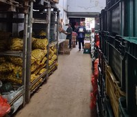 Mapa fiscaliza duas distribuidoras de orgânicos do país