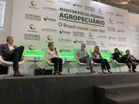 Mapa participa de debate sobre regulamentação da proteína de origem vegetal