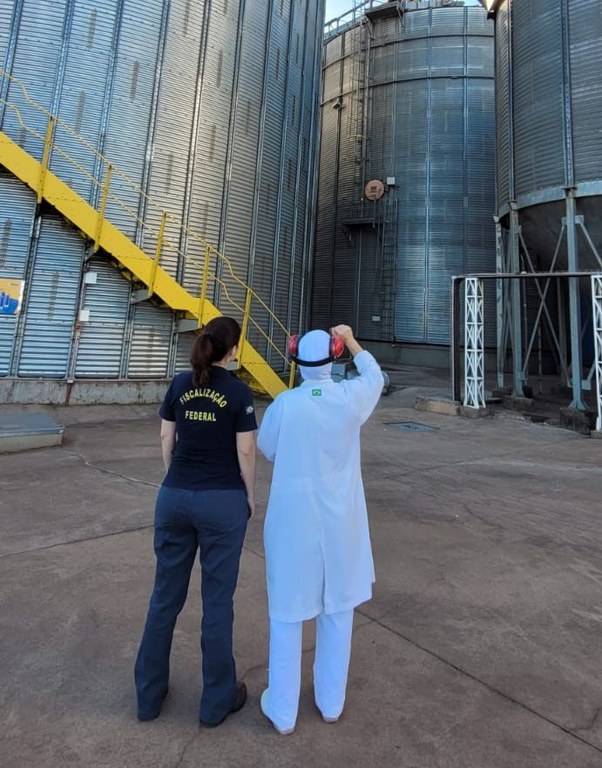 auditoria - farinha de trigo - Paraná (1).jpeg