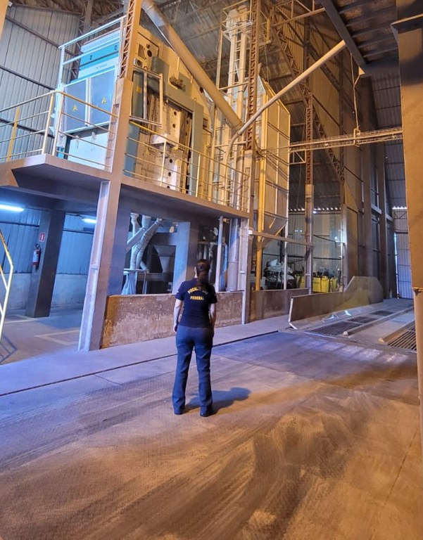 auditoria - farinha de trigo - Paraná (4).jpeg