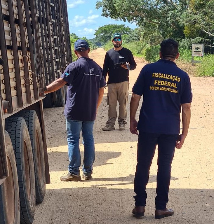 Foto 07 SFA-MS Fiscalização de trânsito de animais.jpg