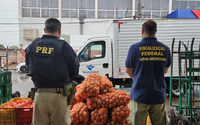 Megaoperação do Vigifronteira apreende mais de 90 toneladas de produtos irregulares nos estados da região sul do país