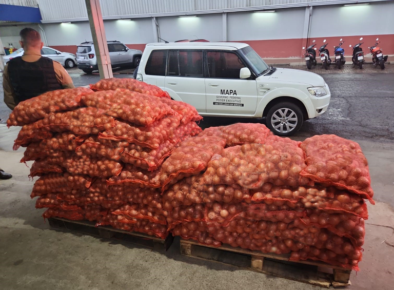 35ª Ronda Agro_6.png