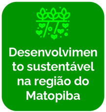 Matopiba