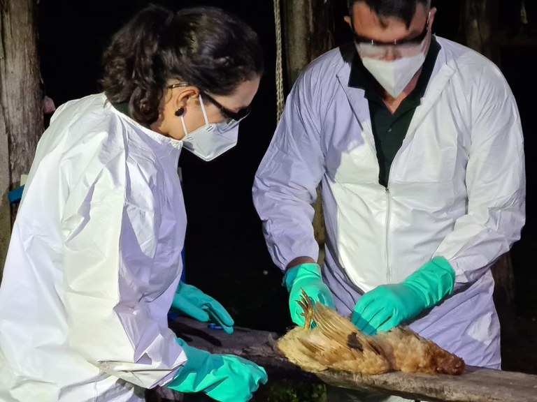 Ronda Agro XXXIV (3).jpeg