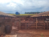 Operação conjunta apreende mais de uma tonelada de produtos suínos irregulares em Ribeirão Preto