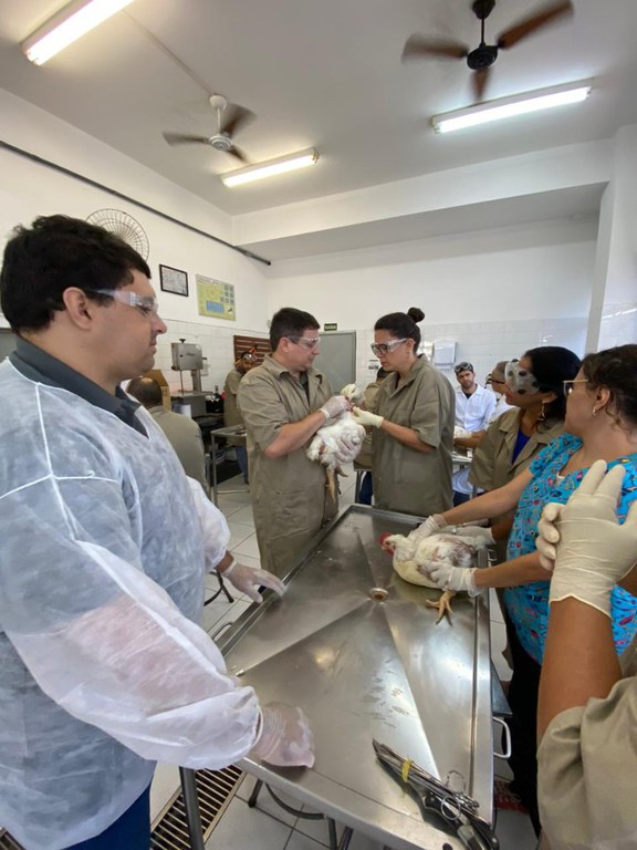 WhatsApp Image 2023-03-17 at 10.31.20 (1).jpeg