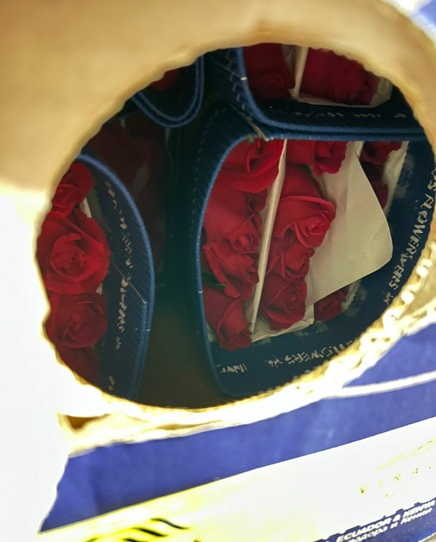 Rosas - Inspecao - Viracopos 2.jpg