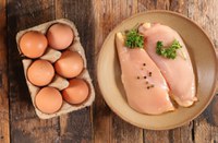 Abertura de mercados em El Salvador para exportações brasileiras de ovos e carne de aves