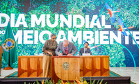 Governo Federal firma protocolo de intenções para ações de controle do desmatamento