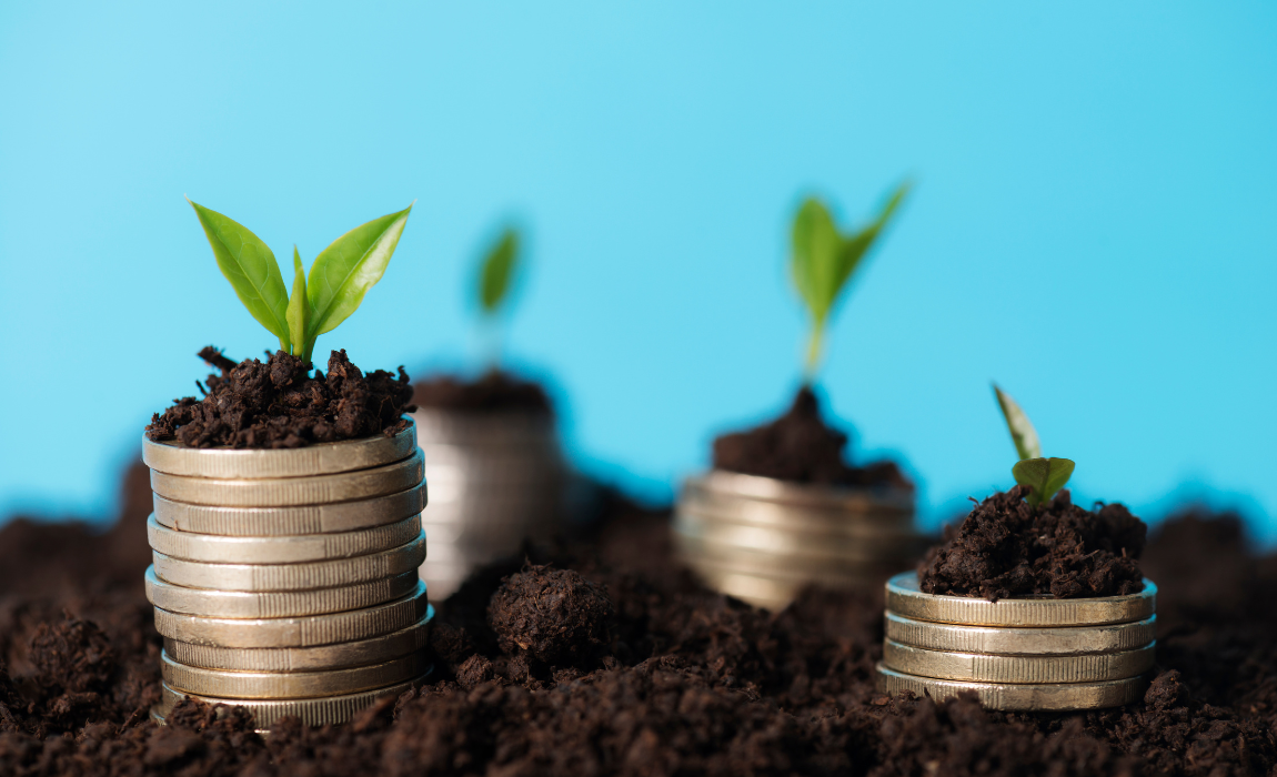 Crédito faz parte do orçamento extraordinário destinado à reconstrução do agro no Rio Grande do Sul e abre espaço para descontos no pagamento de empréstimos feitos por produtores afetados