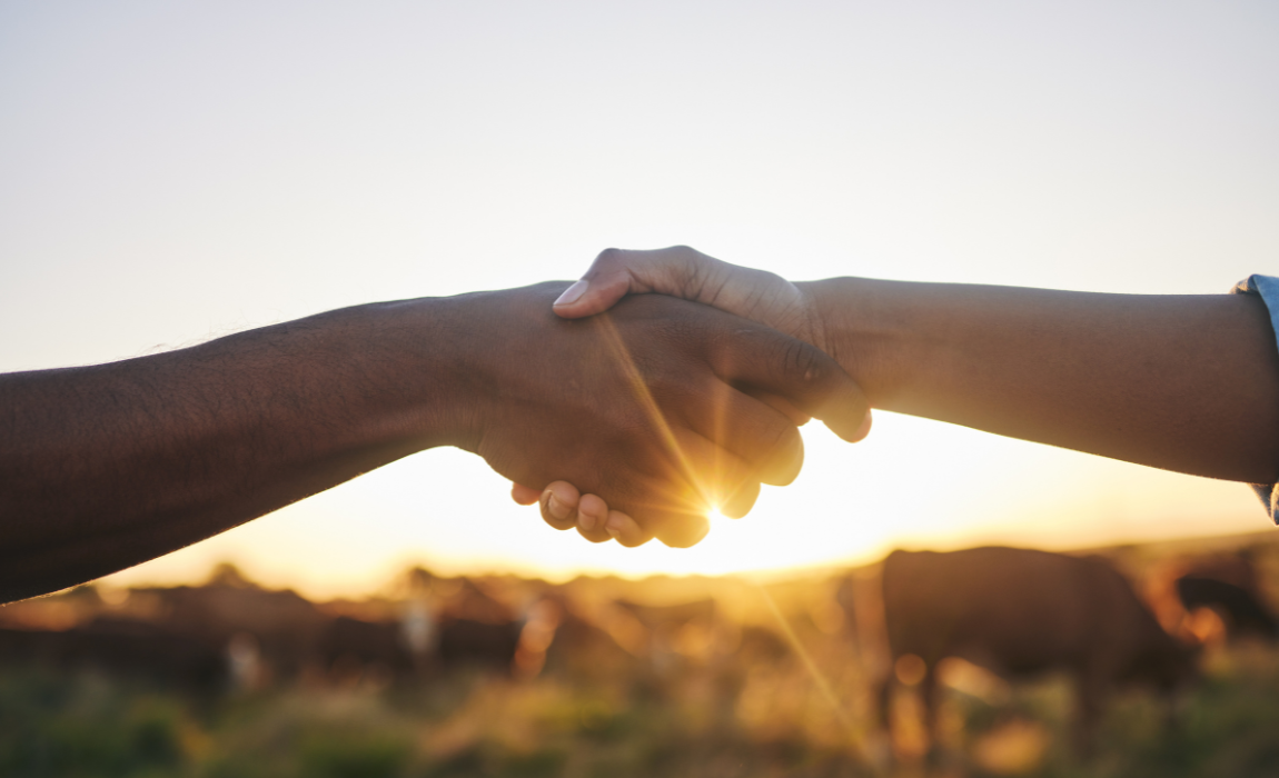 Medida vale para parcelas de operações de crédito rural de custeio, de investimento e de industrialização que tenham vencimentos até 31 de dezembro de 2024