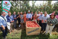 Mapa participa da abertura nacional da colheita da maçã em Santa Catarina