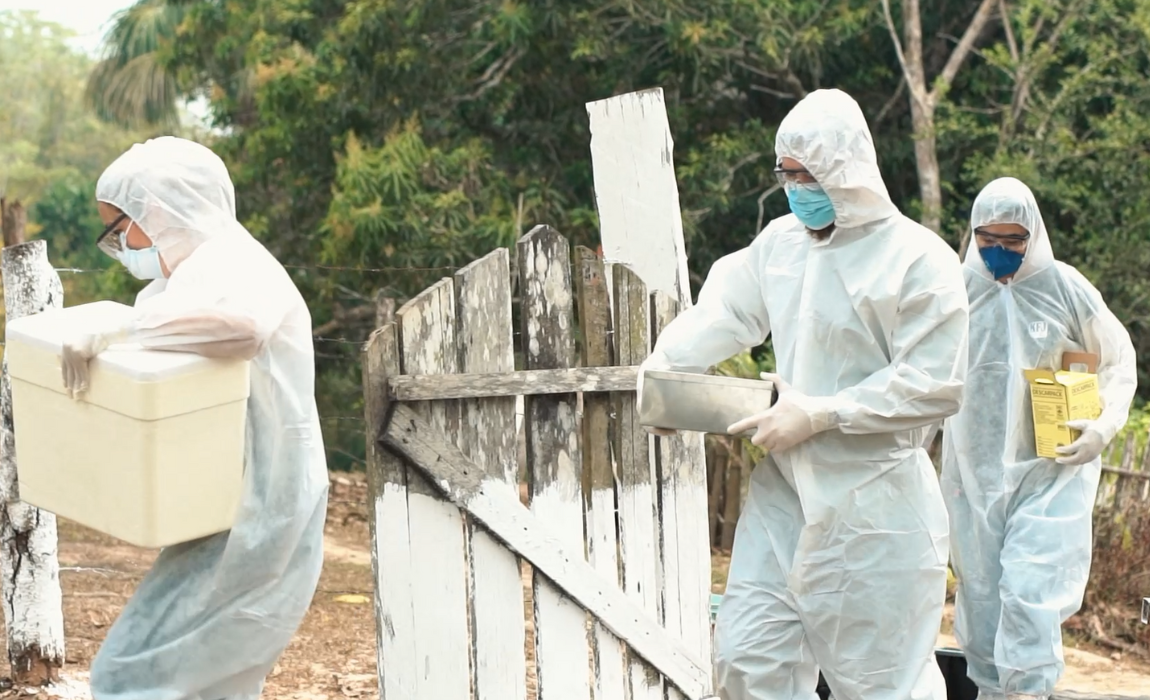O treinamento visou reforçar a cooperação e a capacidade de resposta em uma zona com status de livre de febre aftosa sem vacinação