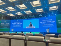 Na China, o PNCPD é apresentado como alternativa sustentável no fomento à Indústria Florestal