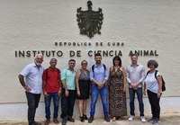 Representantes do Mapa dialogam sobre implementação de projetos bilaterais com Cuba