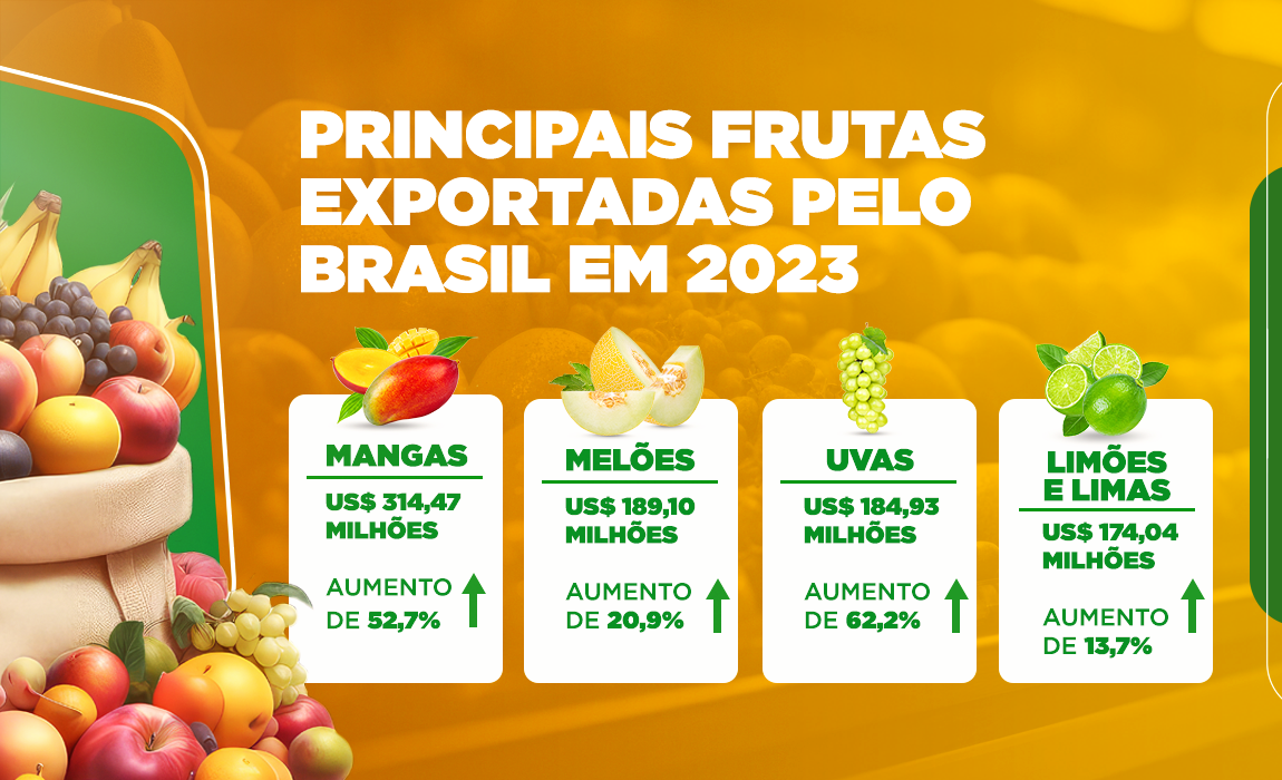 Ricas em vitaminas e consumidas mundo afora, as frutas são de grande diversidade