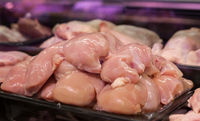 Abertura de mercado em Sarawak, Malásia, para exportação de carne de aves e carne bovina do Brasil