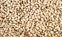 CAPA SITE.png