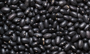 CAPA SITE (1).png