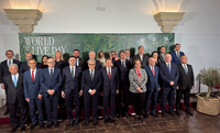 Brasil destaca avanços na qualidade do azeite durante celebração do World Olive Day