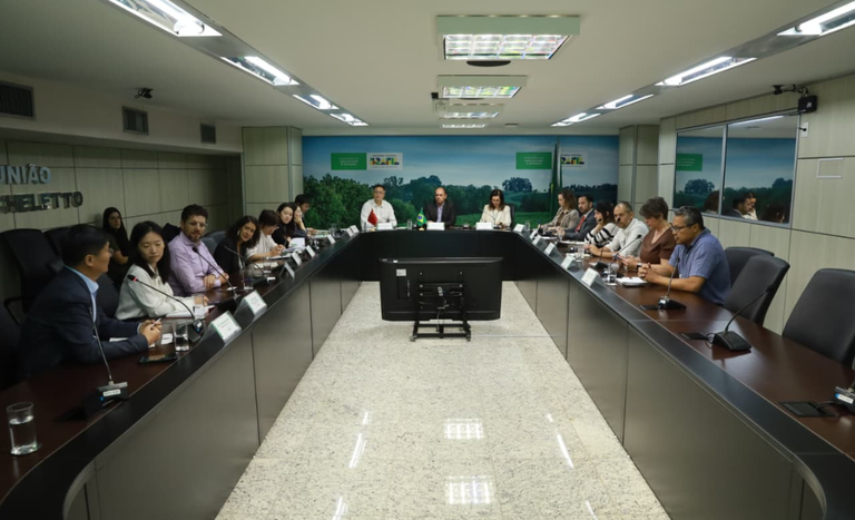 reunião SDI_China (2).png