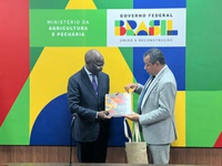 Brasil e Senegal discutem cooperação agrícola para promoção da segurança alimentar