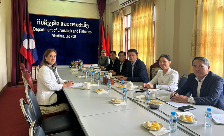 Laos2025 (3).png