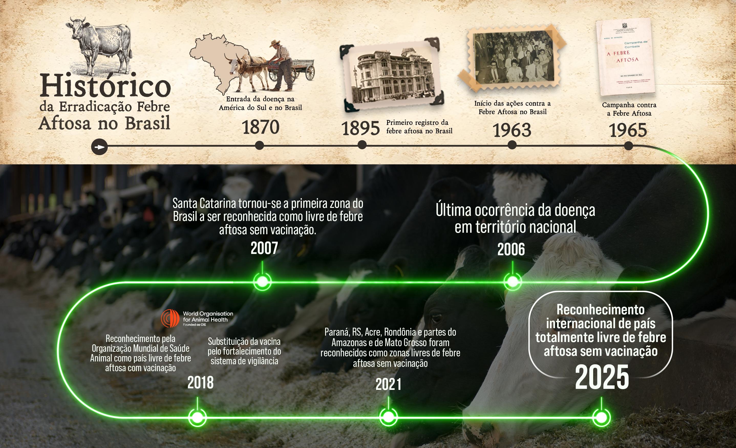 Histórico