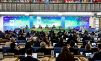Delegação do Mapa participa da 19ª Sessão da Comissão de Medidas Fitossanitárias na FAO